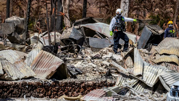 Preparing for natural disasters goes beyond stocking extra food and water. Secure your important financial documents and insurance plans too.