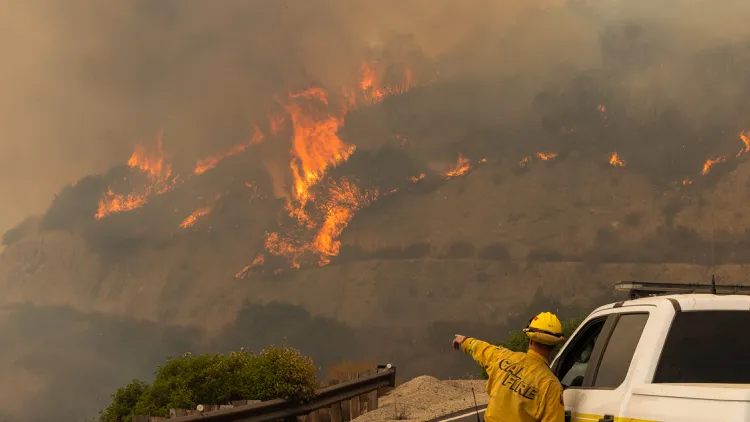 SoCal is facing three big wildfires amid a blistering heat wave, including the Line Fire, which has burned more than 26,000 acres. How are firefighters coping?