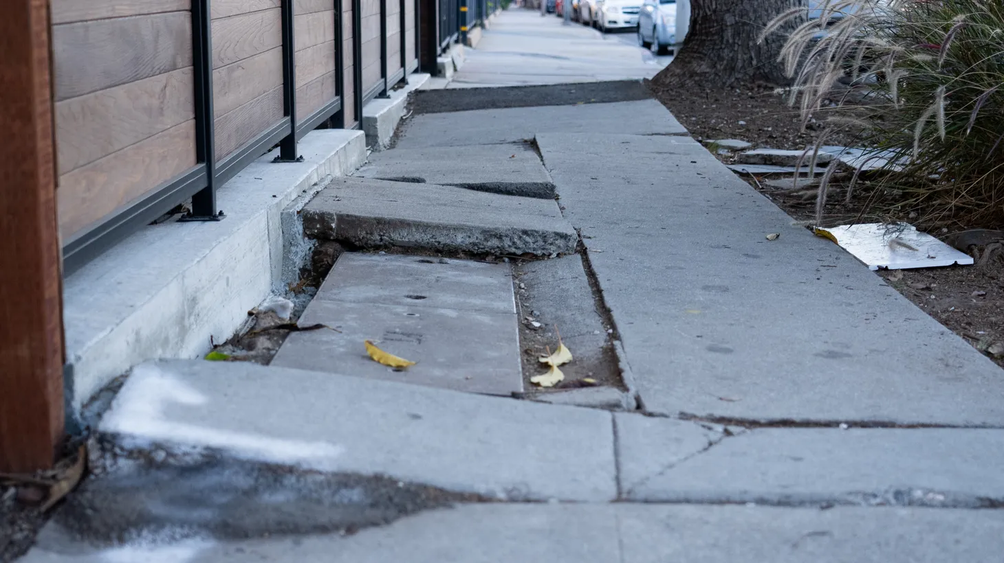 The sidewalk is broken for nearly 100 feet on Edgemont Street in Los Feliz.