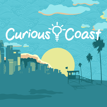 Curious Coast